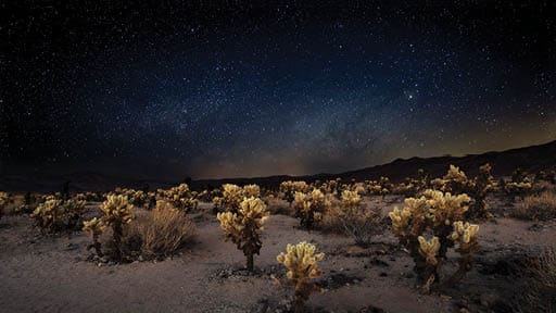 Joshua Tree National Park