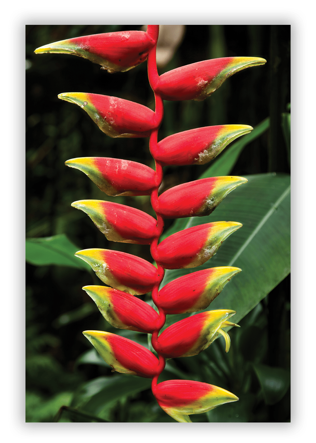 Botanical Gardens
