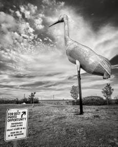 World's Largest Sandhill Crane, Steele, ND