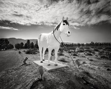 Western Elite Landfill's white horse statue Great Basin Highway Route 93 Nevada