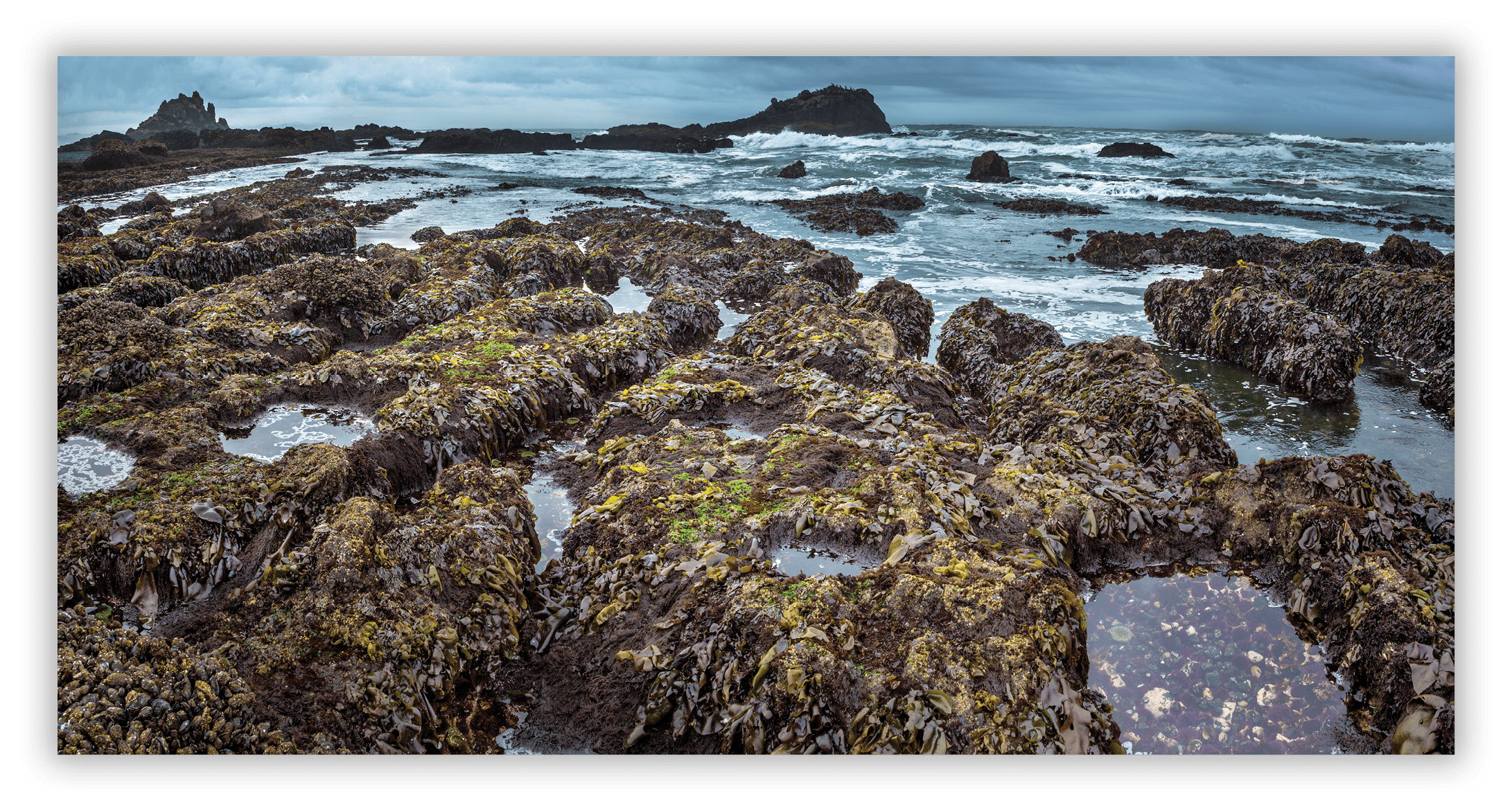 Cobble Beach
