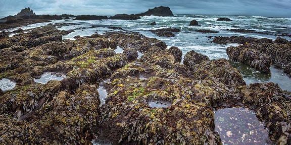 Cobble Beach