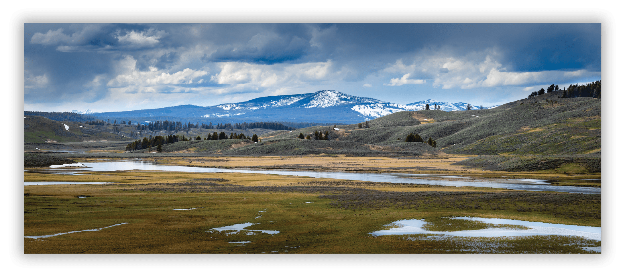 Hayden Valley