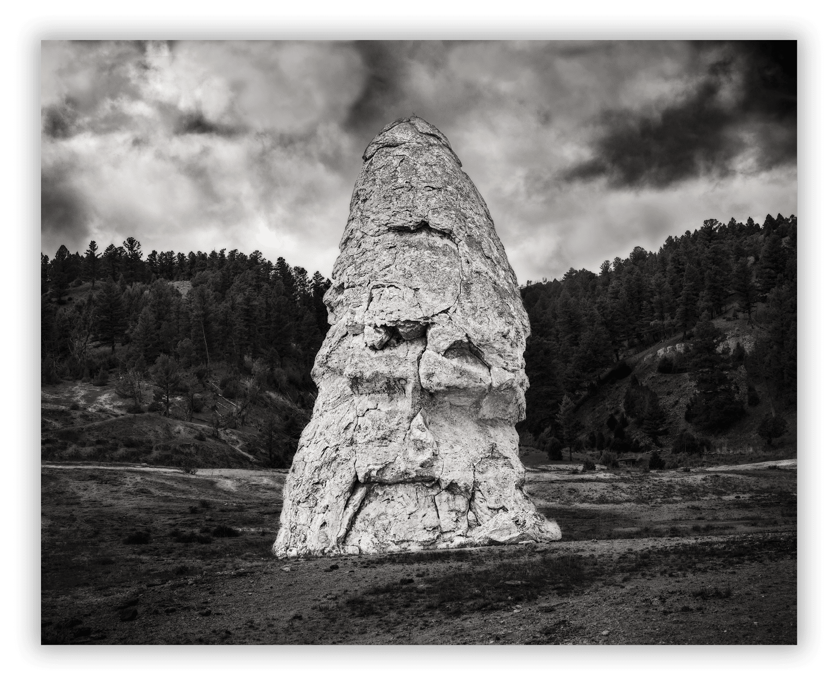 Liberty Cap