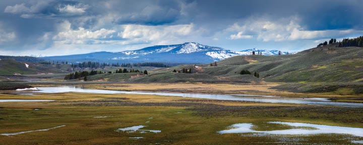 Hayden Valley